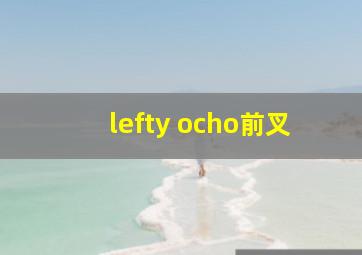 lefty ocho前叉